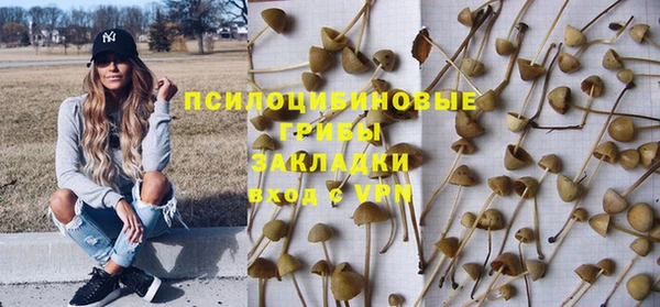 МДПВ Алексеевка