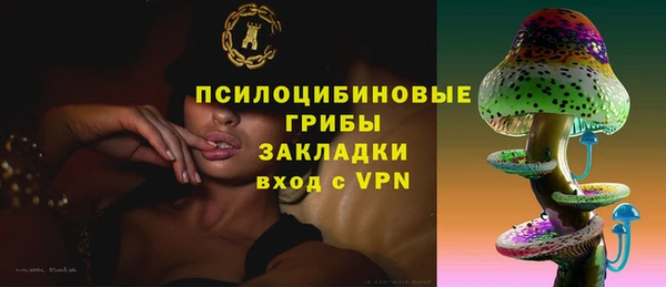 мяу мяу мука Алзамай