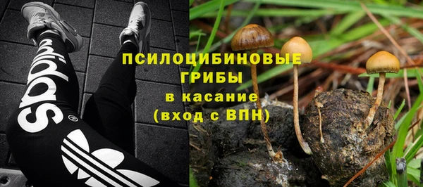 МДПВ Алексеевка