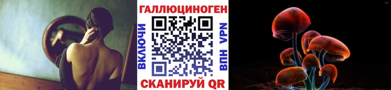 Псилоцибиновые грибы Cubensis  кракен рабочий сайт  Новая Ладога 